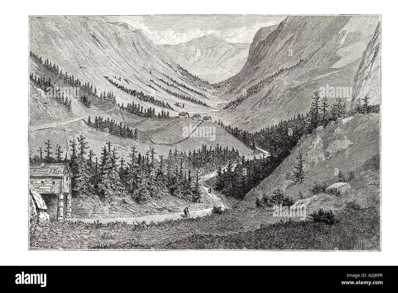 Alp an der baumgrenze Fotos und Bildmaterial in hoher Auflösung Alamy