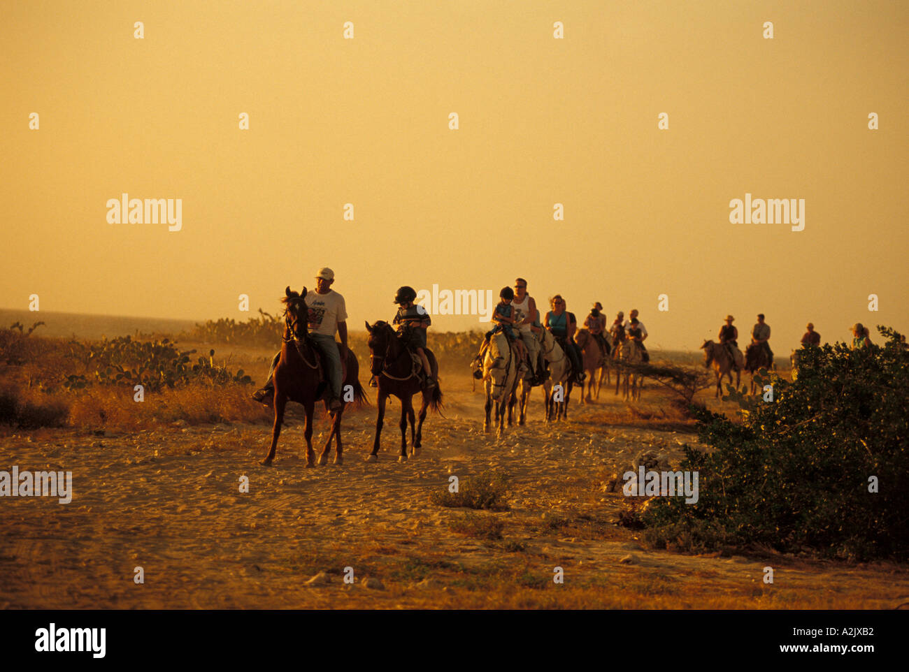 Aruba-Gruppe von Touristen Reitpferde bei Twillight, Niederländische Antillen Sport Erholung im freien Karibik Urlaub mit der Familie Stockfoto