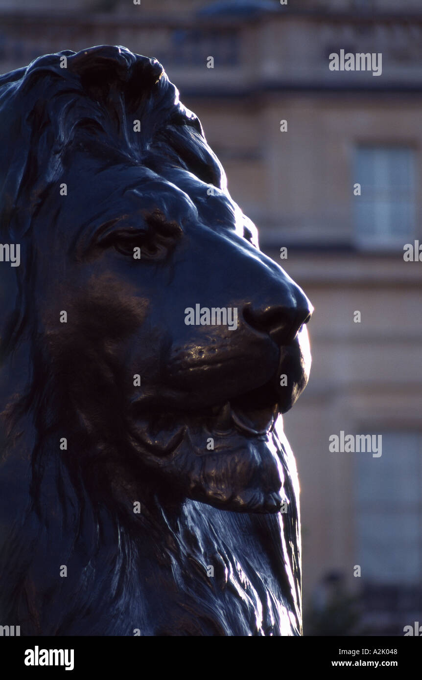 Großbritannien London Trafalgar Square Löwe Stockfoto