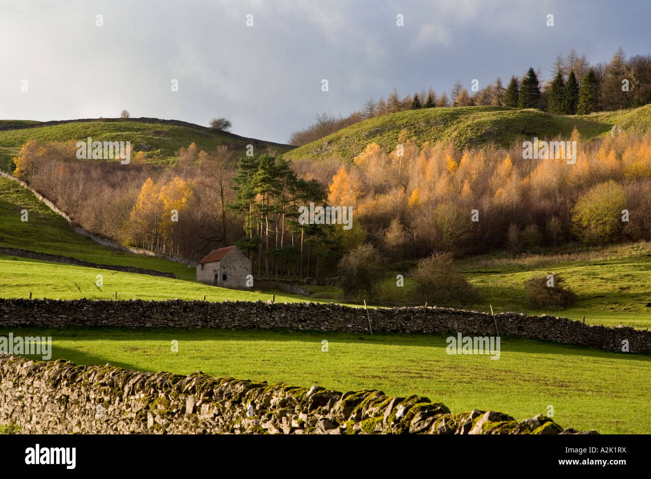 Herbst in der Nähe von Hassop, Peak District National Park, UK Stockfoto