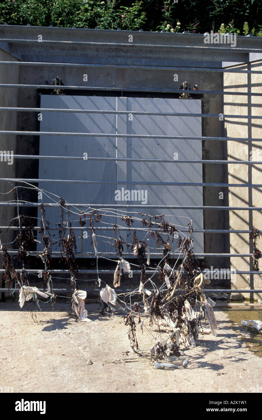 Sanitäre Schutt gefangen am Bildschirm kombinierten Kanalisation Überlauf Barry Wales UK Stockfoto