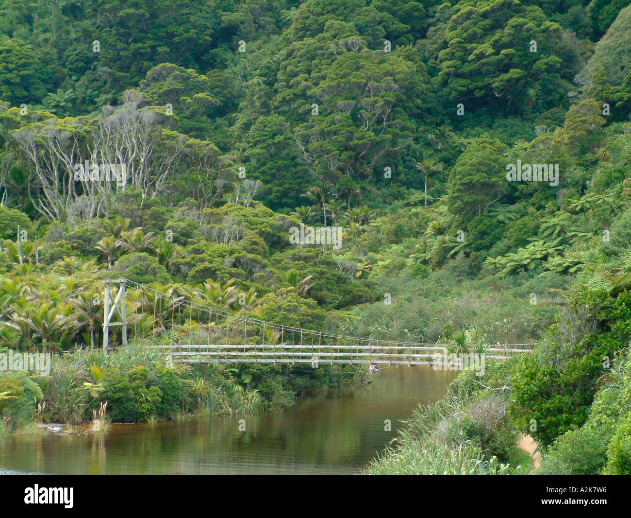 Neuseeland, Karamea. Hängebrücke am Beginn der Heaphy Track. Stockfoto