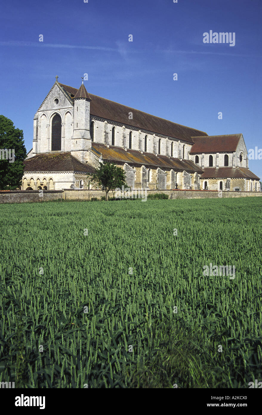 Abteikirche Pontigny Burgund Frankreich Stockfoto