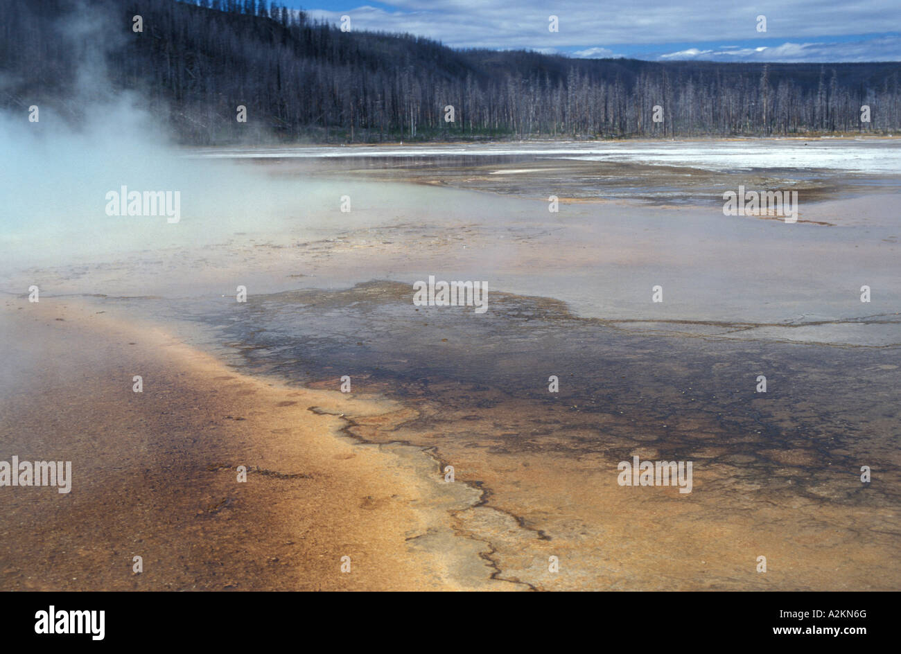 Bakterien-Farben Yellowstone National Park Vereinigte Staaten Amerika Stockfoto