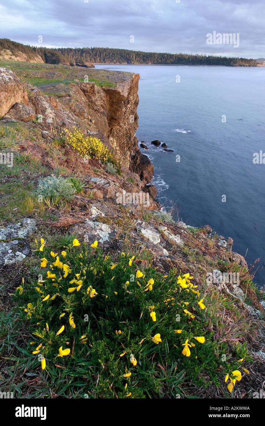 Rosario Kopf Fidalgo Insel Deception Pass State Park Island County Washington USA Stockfoto