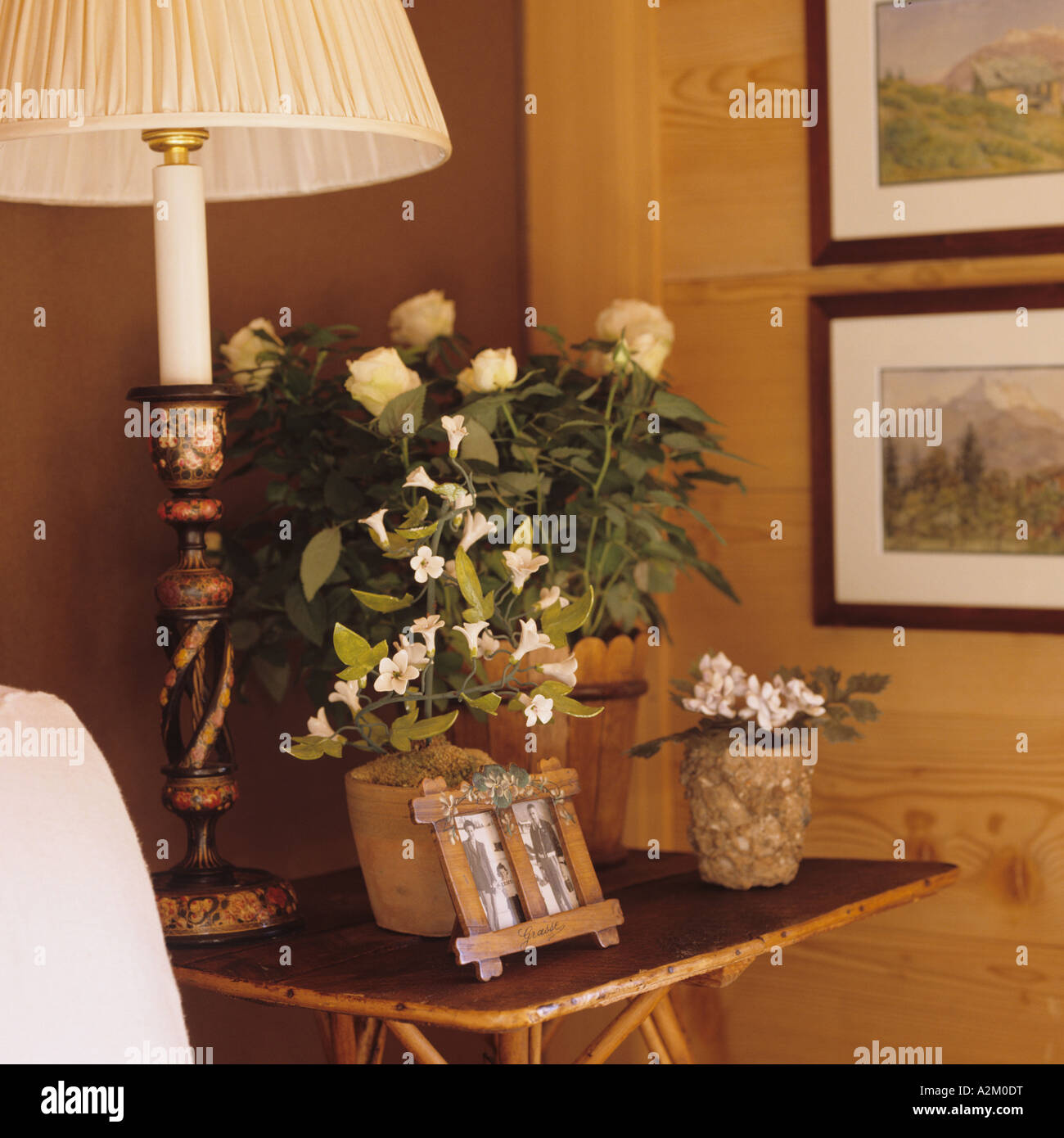 Detail der Topfpflanzen und Lampe auf einem hölzernen Beistelltisch Stockfoto