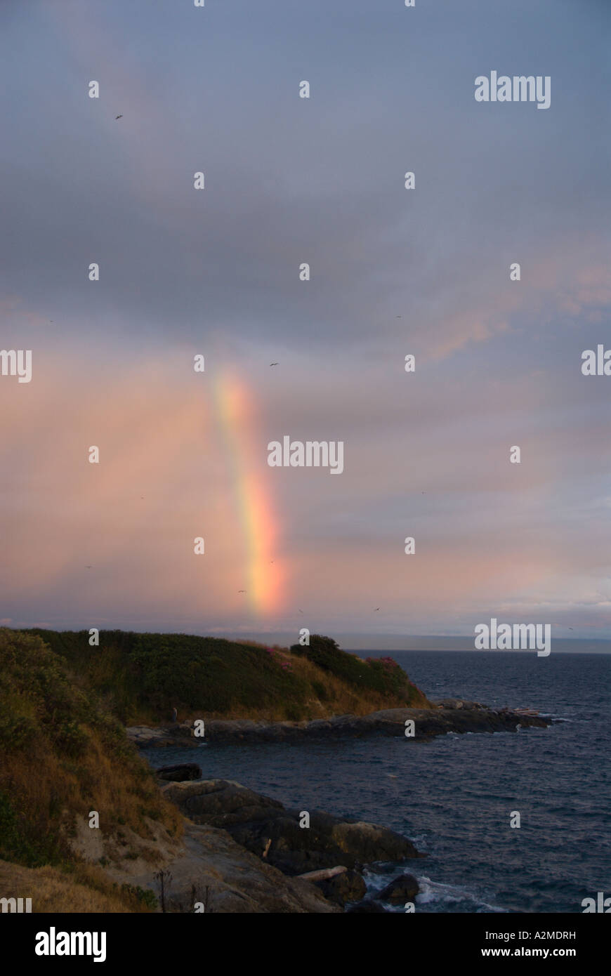 Ein Abend-Regenbogen über südlichen Vancouver Insel. Stockfoto