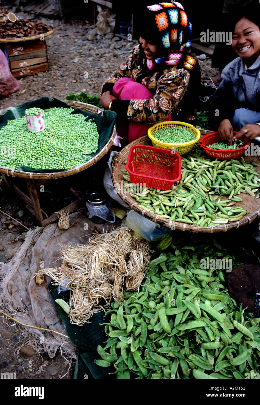 Lachende Mädchen in Myitkyina Markt, Nordburma, frische Erbsen schälen. Stockfoto