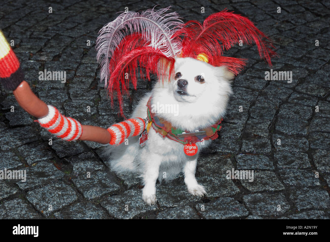 Hund im deutschen Karneval Kostüm Stockfoto