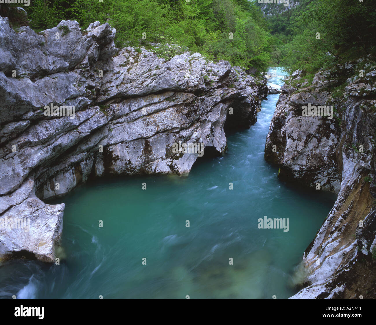 Schlucht entlang dem Fluss Soca in der Nähe von Bovec Slowenien Stockfoto
