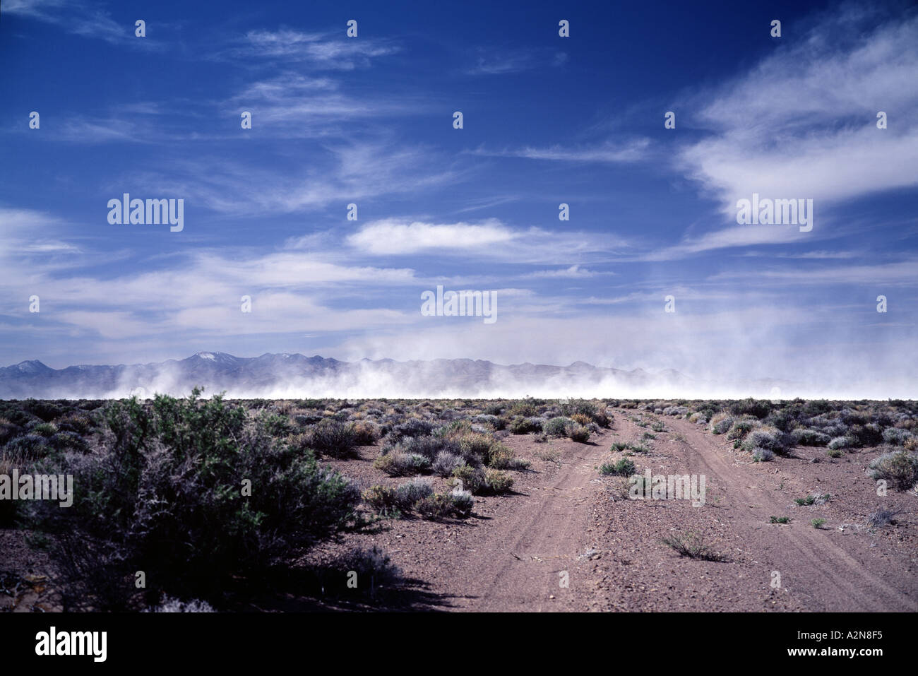 Sandsturm in Nevada, USA Stockfoto