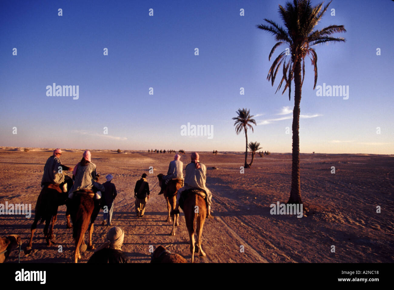 KARAWANSEREI 01 Hauptverkehrszeit in der Sahara Wüste Tunesien Afrika THIS IS 1 OF 2 ähnliche Bilder und 1 von 200 Gesamt Bilder Stockfoto
