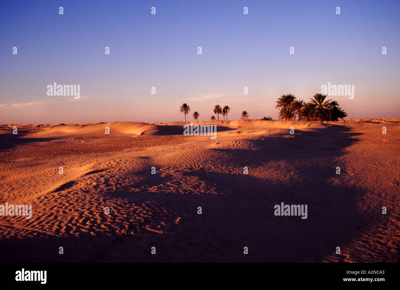 ENDLOSE Meer von SAND 01 Sahara Wüste Tunesien Afrika THIS IS 1 OF 2 ähnliche Bilder und 1 von 200 Gesamt Bilder Stockfoto