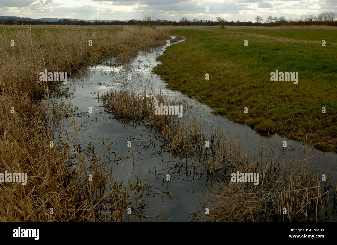 Coombe Hügel Wiesen in der Nähe von Tewkesbury Restored Wetland Reserve Stockfoto