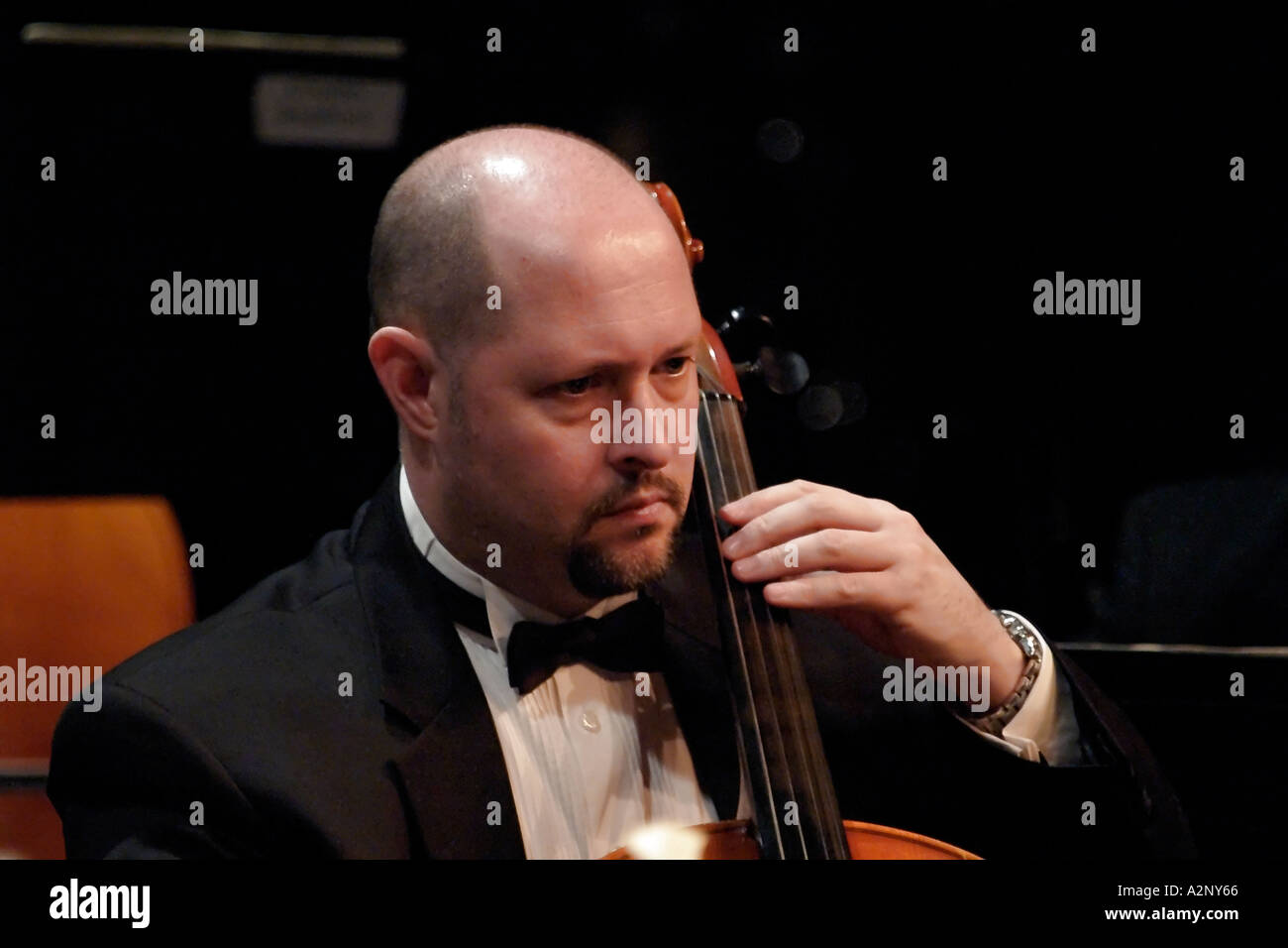 Cellist führt auf der Bühne in vollen Konzert Kleidung Stockfoto