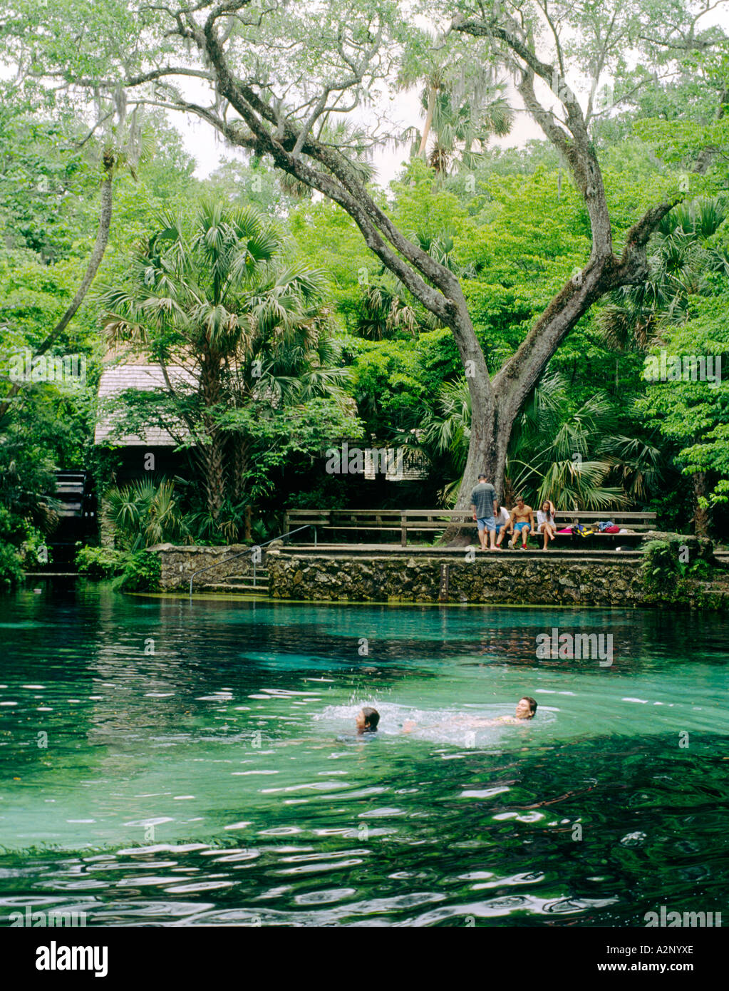 juniper springs juniper springs