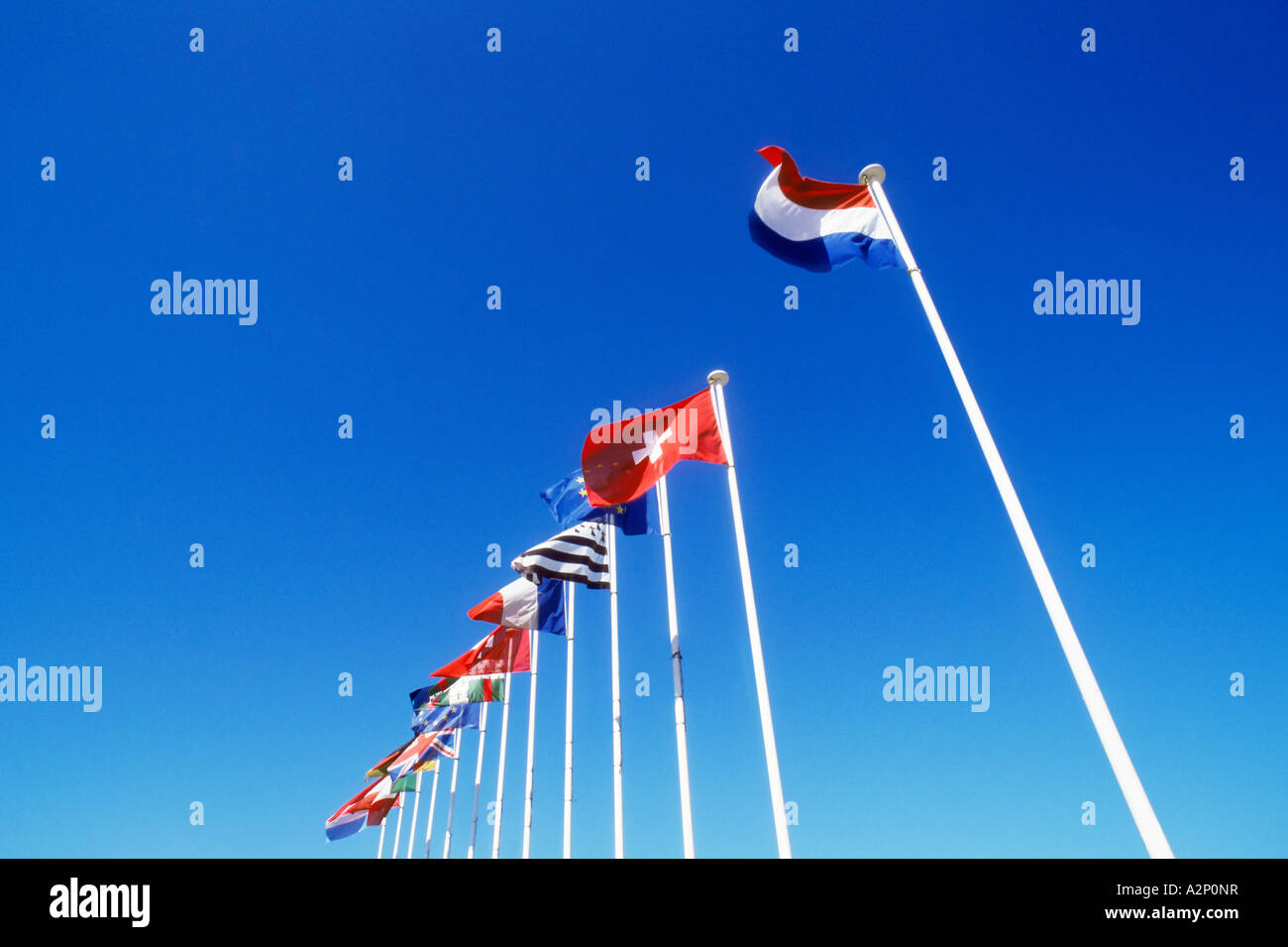 Internationale Flaggen Stockfoto