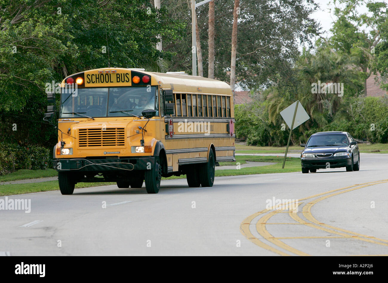 Schulbus fahren auf einer Straße, die von Grün Palm Beach District Grafschaft Bewegung lernen ländlichen pastorale Leben umgeben ist Stockfoto