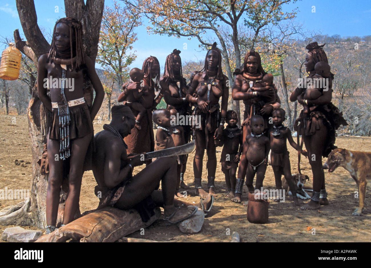 Himba-Clan, Chef mit Frauen und Kindern, Namibia, Kunene, Kaokoland Stockfoto
