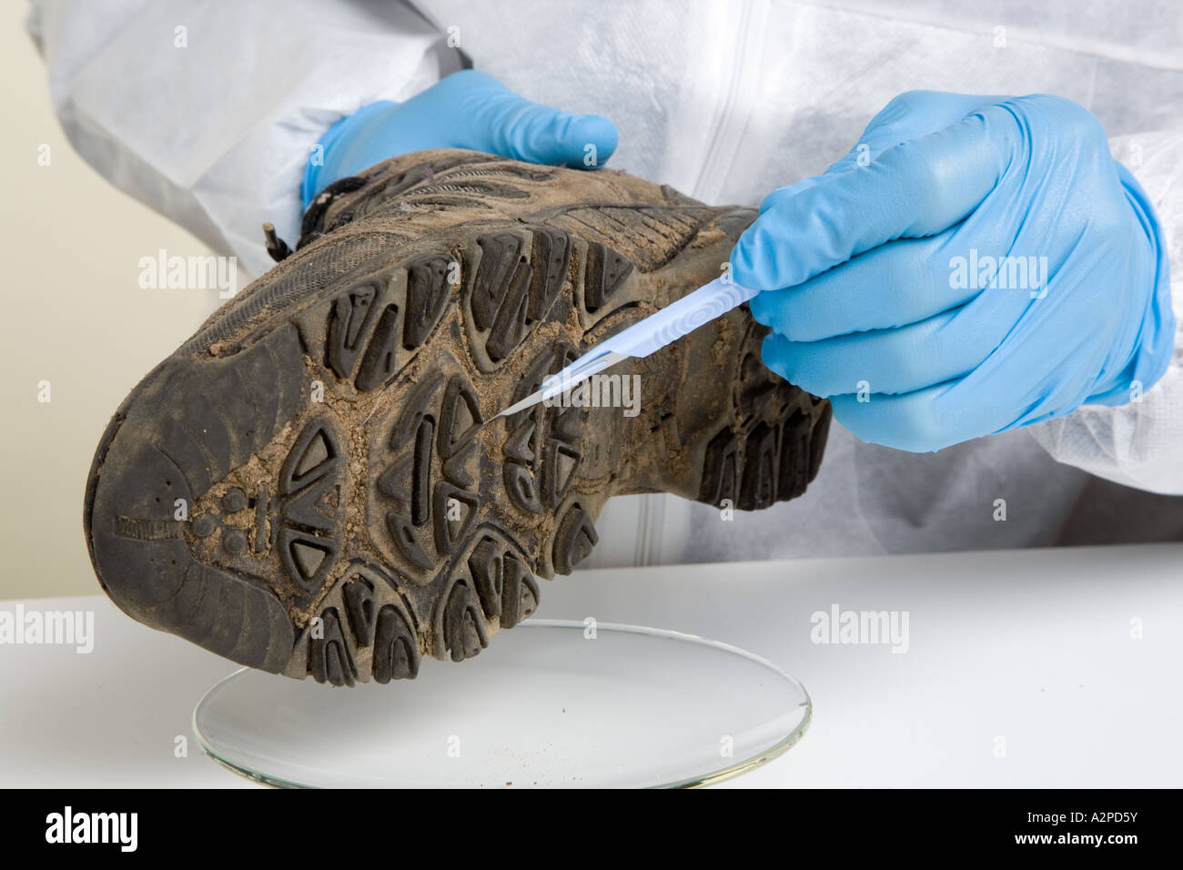 Forensische Wissenschaftler sammeln von Beweisen aus schlammigen Schuhsohle Stockfoto