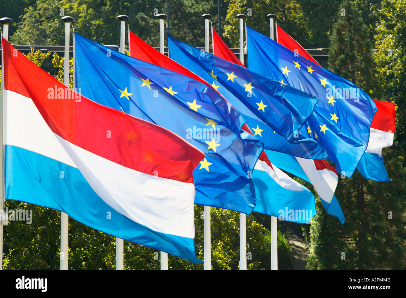 Luxemburg und Europäische Union Flaggen in Luxemburg-Stadt Stockfoto