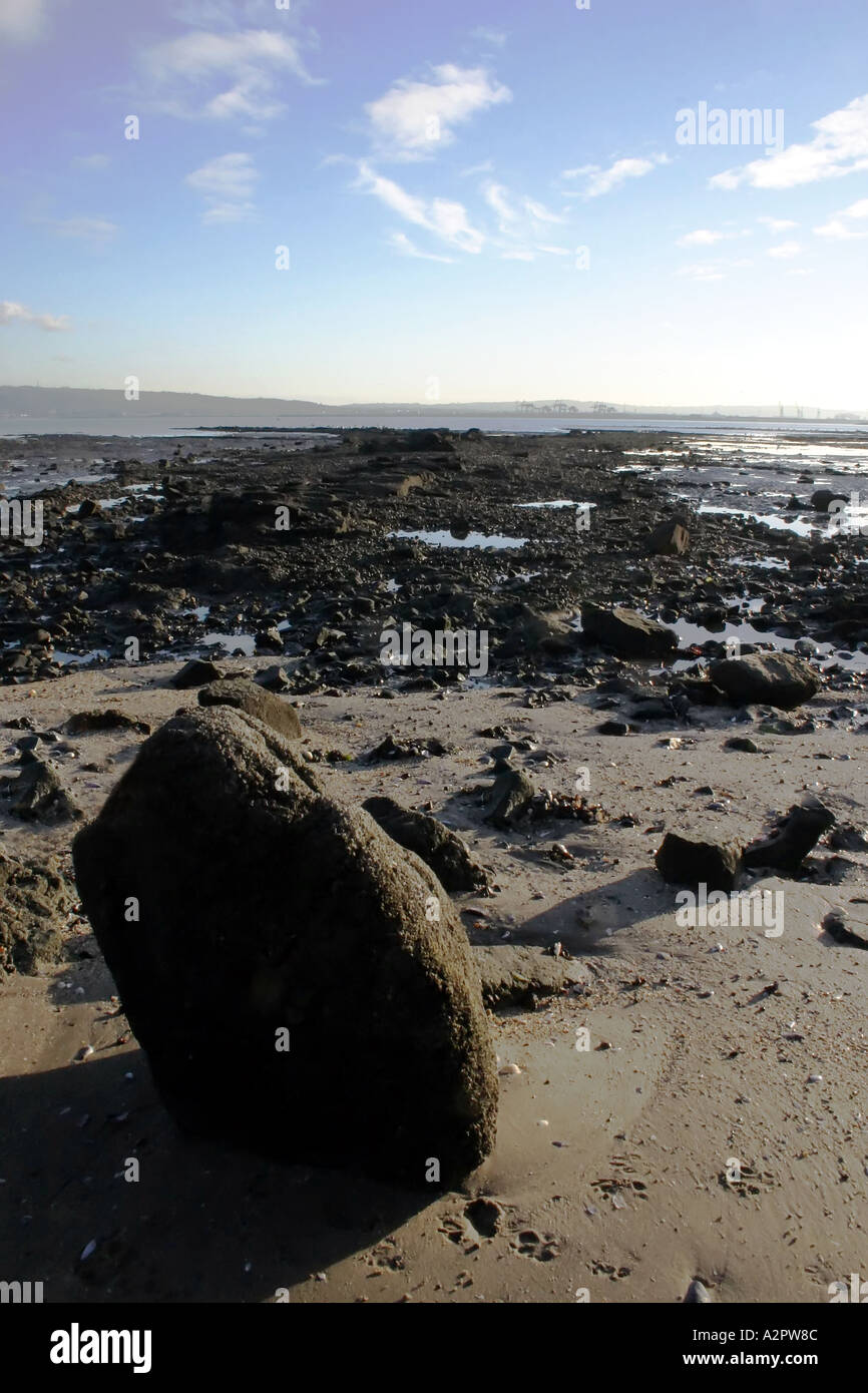 Stein und Muschel Großbanken in Belfast Lough Stockfoto