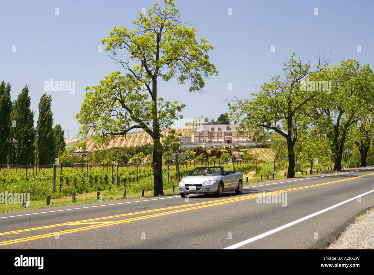 Domaine Carneros Taittinger und Partner Weingut Sonoma Kalifornien Stockfoto