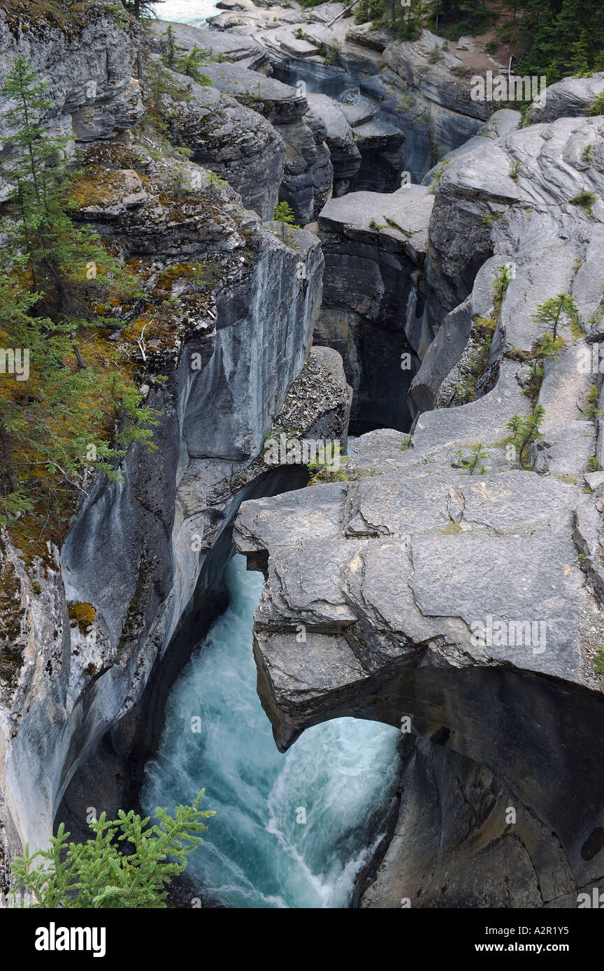 Tiefen Felswände am Mistaya Creek canyon Stockfoto