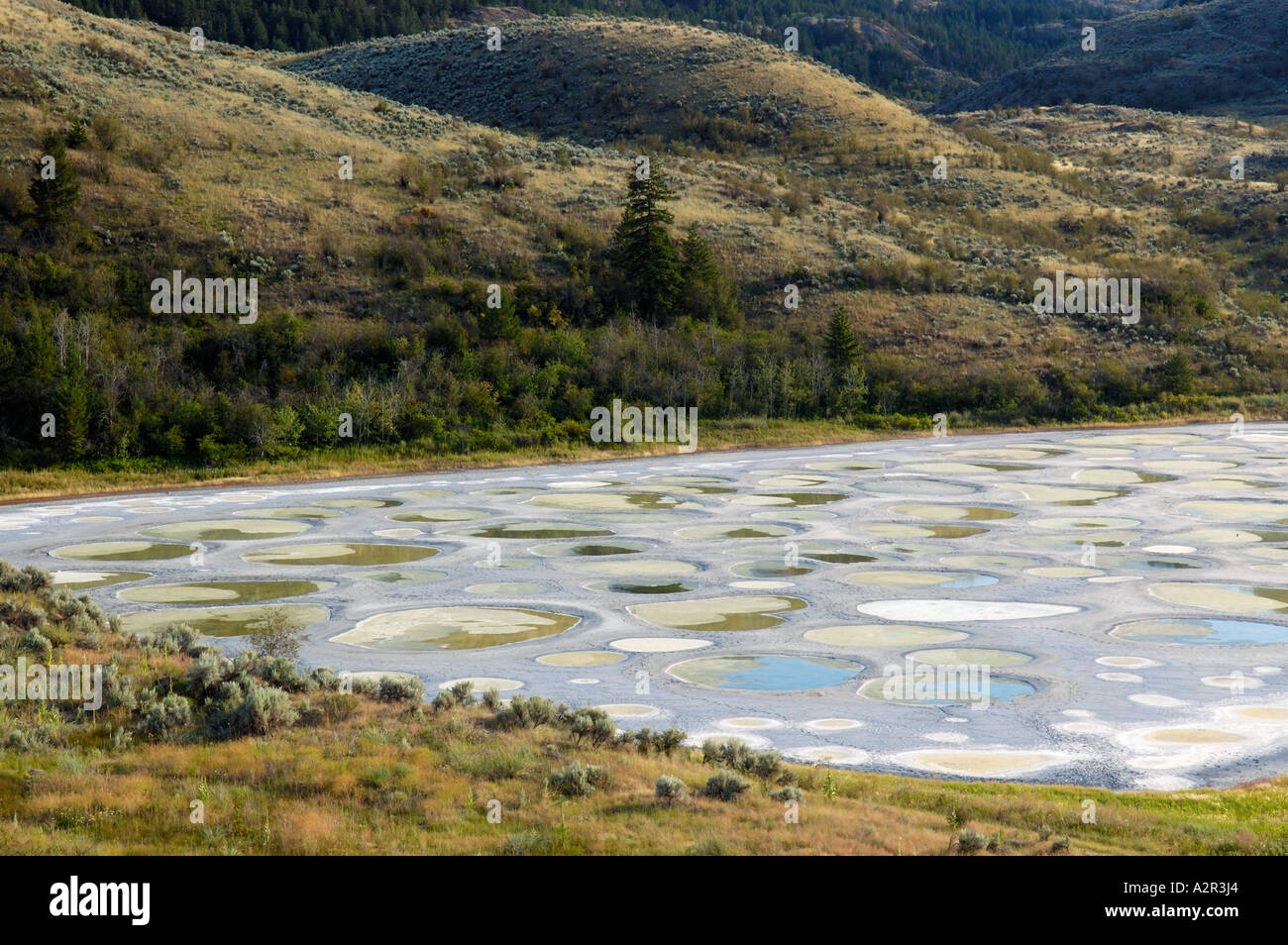 Gefleckte See Salzkristall Kreise Okanagan Valley in British Columbia Kanada Stockfoto