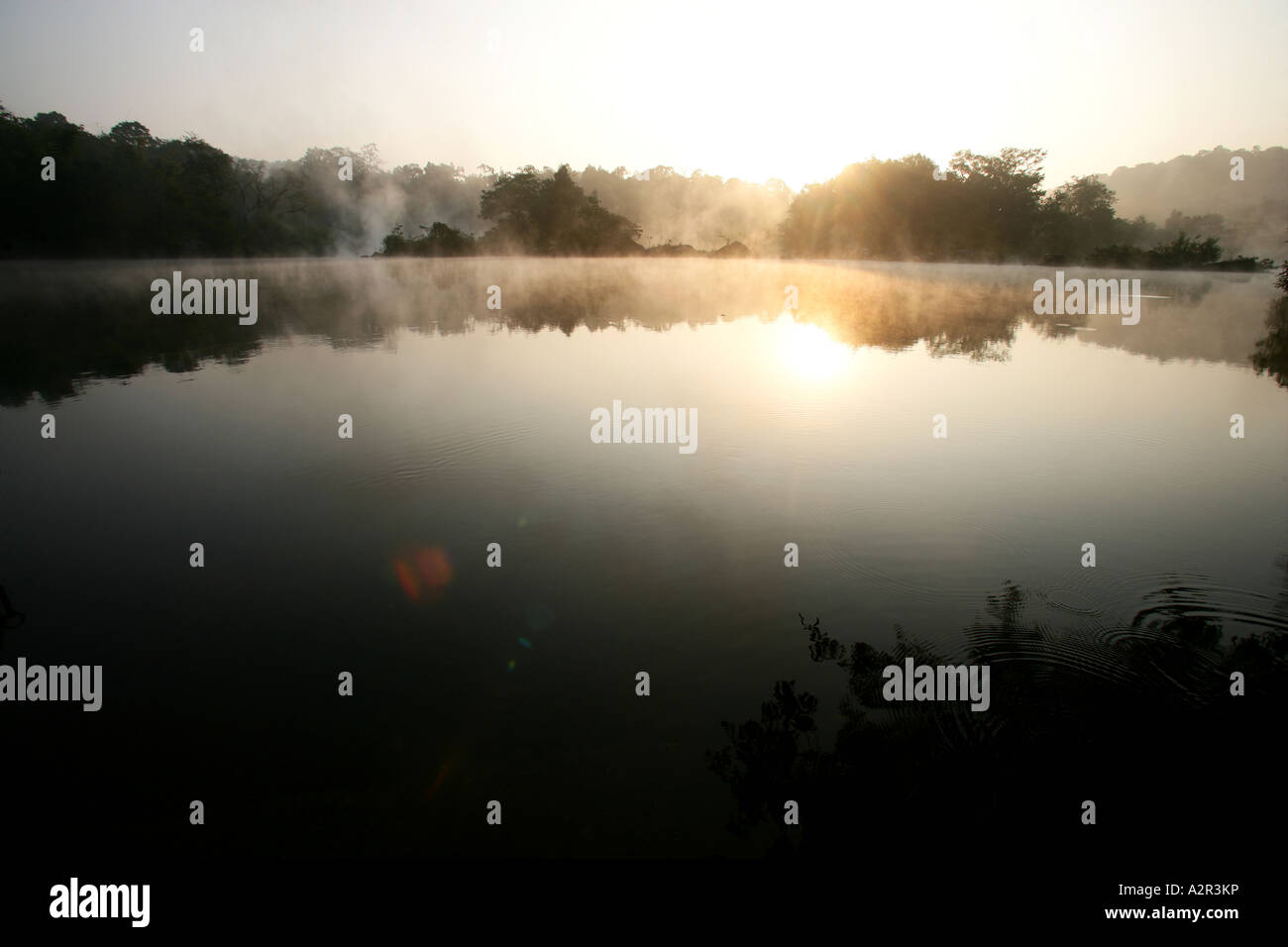 Bilder aus Indien der örtlichen Straßen und Farbe. Stockfoto