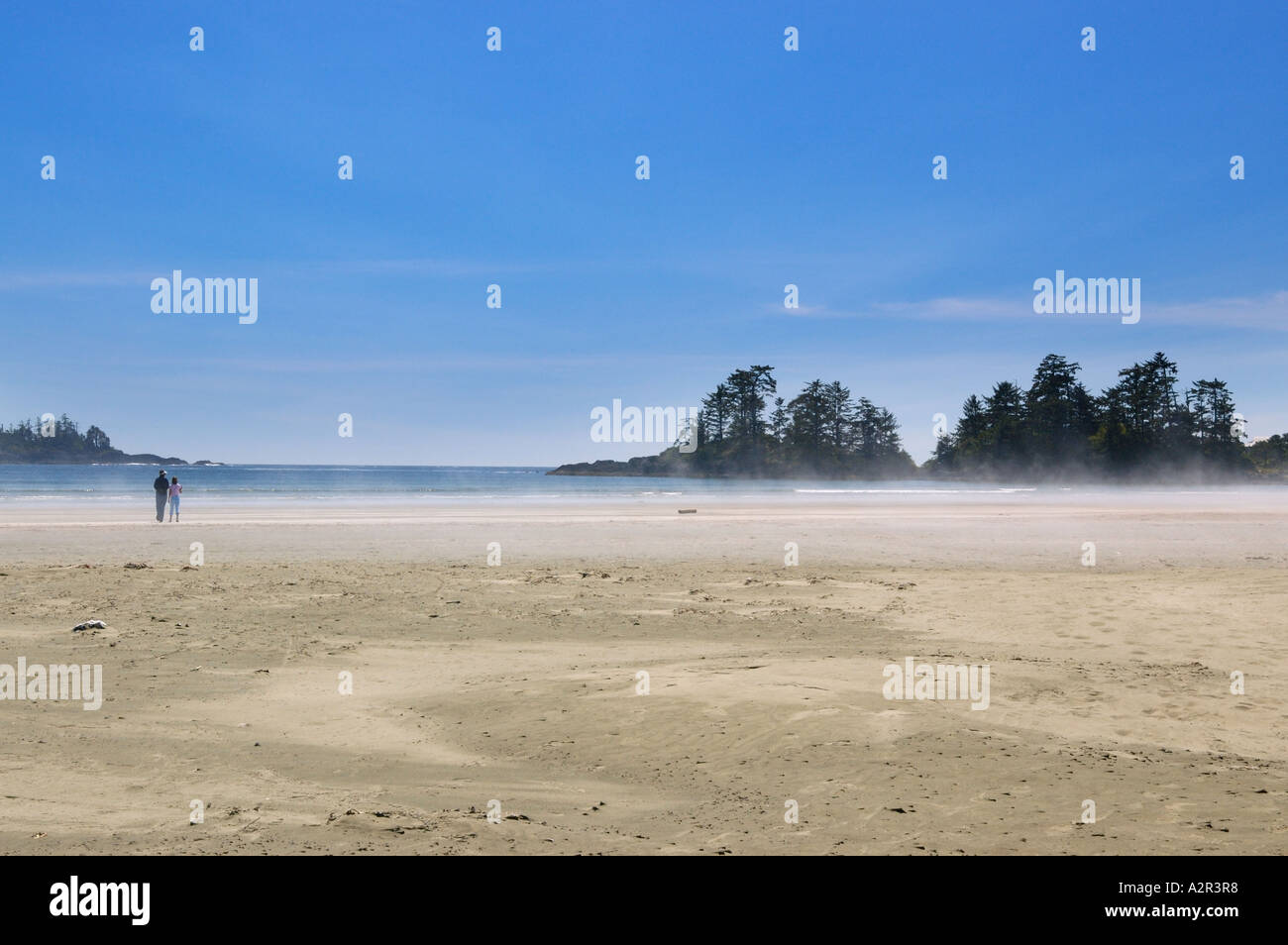Beachcombers im Pazifischen Ozean Nebel an Chesterman Beach in der Nähe von Tofino Vancouver Island British Columbia Kanada Stockfoto Beachcombers im Pazifischen Ozean Nebel an Chesterman Beach in der Nähe von Tofino Vancouver Island British Columbia Kanada Stockfoto