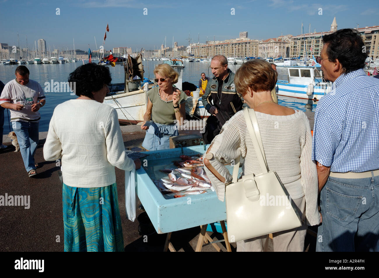 Französische Leute kaufen Meeresfrüchte auf dem Fischmarkt des alten Hafens, le vieux Port, Marseille, Frankreich Stockfoto