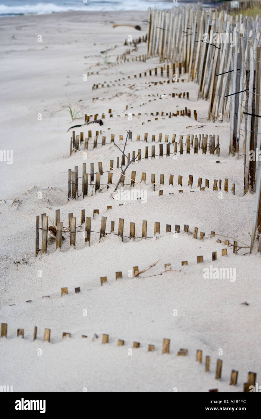 Wind-durchgebrannten Sand begraben Kastanien Fechten in Bridgehampton, Long Island, New York State, USA. Stockfoto