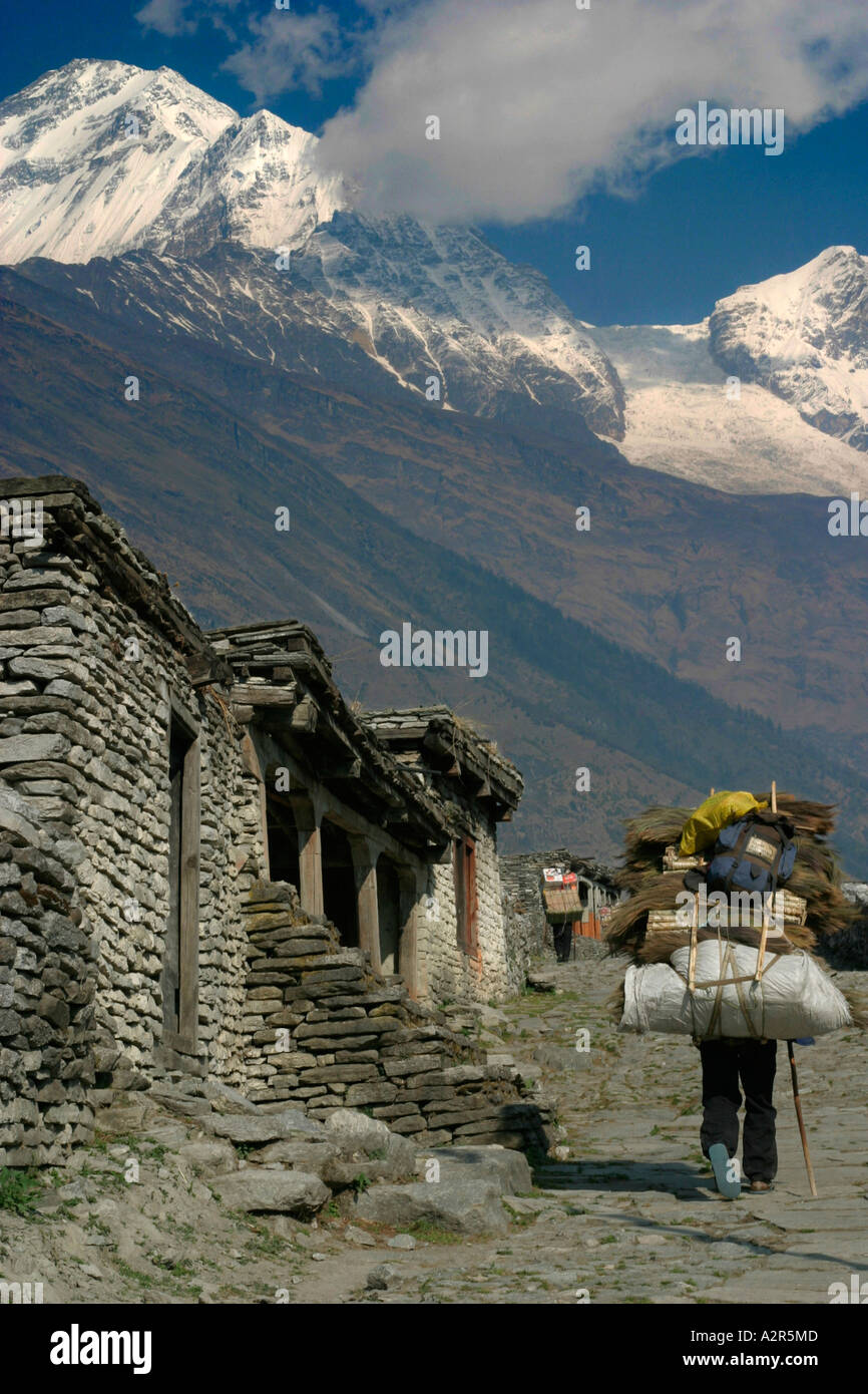 Porter auf der Jomsom terk Stockfoto