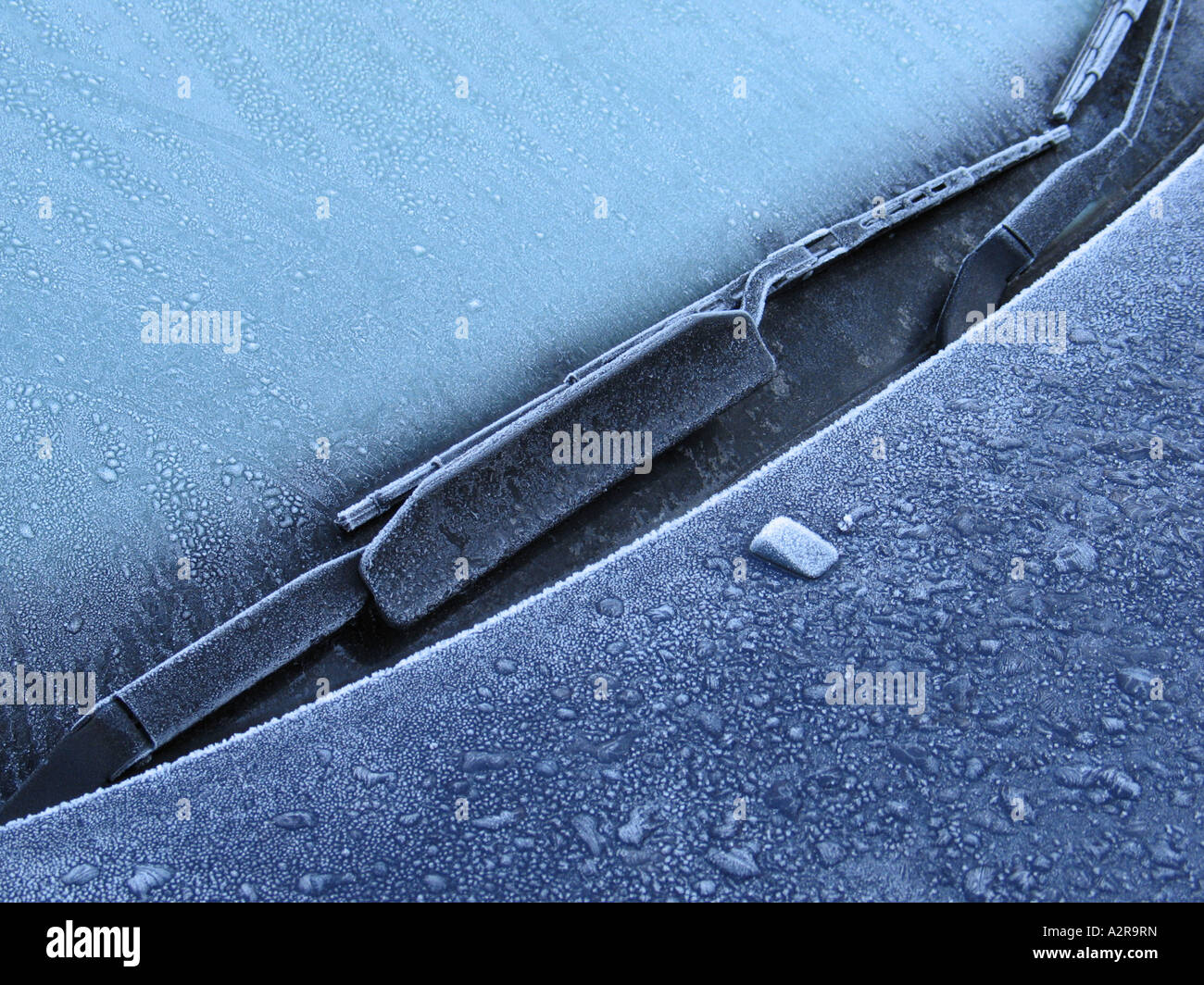 Frost bedeckte weiße Motorhaube, Scheibenwischer und