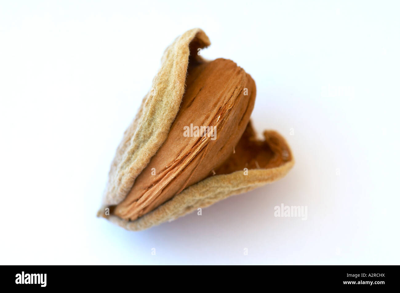 Mandeln in der Schale und Rumpf auf weißem Hintergrund Stockfoto