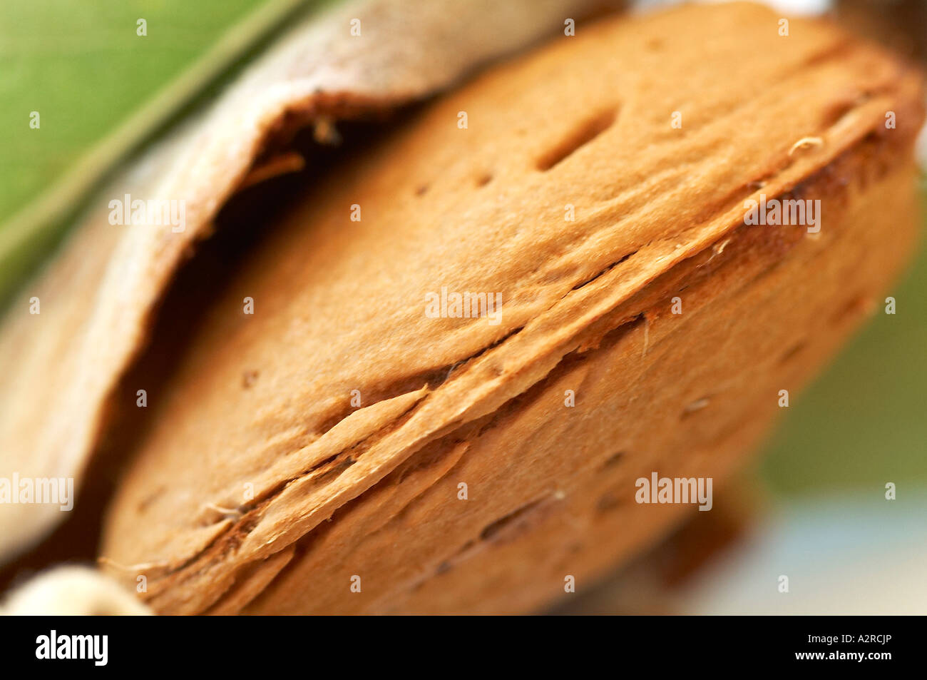 Mandeln in der Schale und Rumpf, Makro Stockfoto