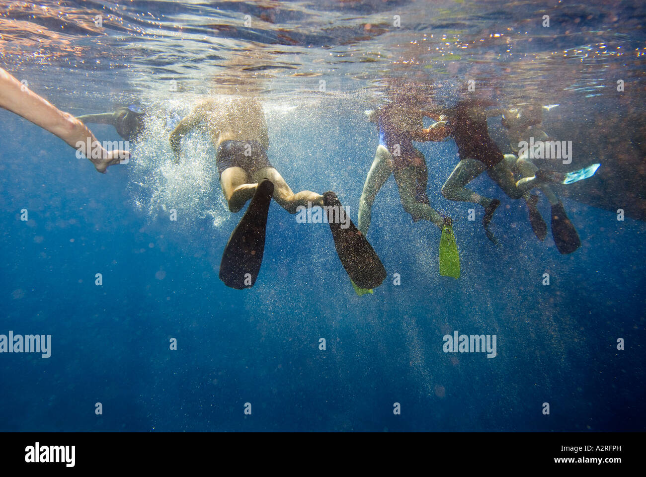 Schnorchler Schnorchler auf Oberfläche flossen Schnorcheln Tauchen Brille unter Wasser unter Wasser Meer Touristen Urlaub Sharm El Sheikh Ägypten Stockfoto