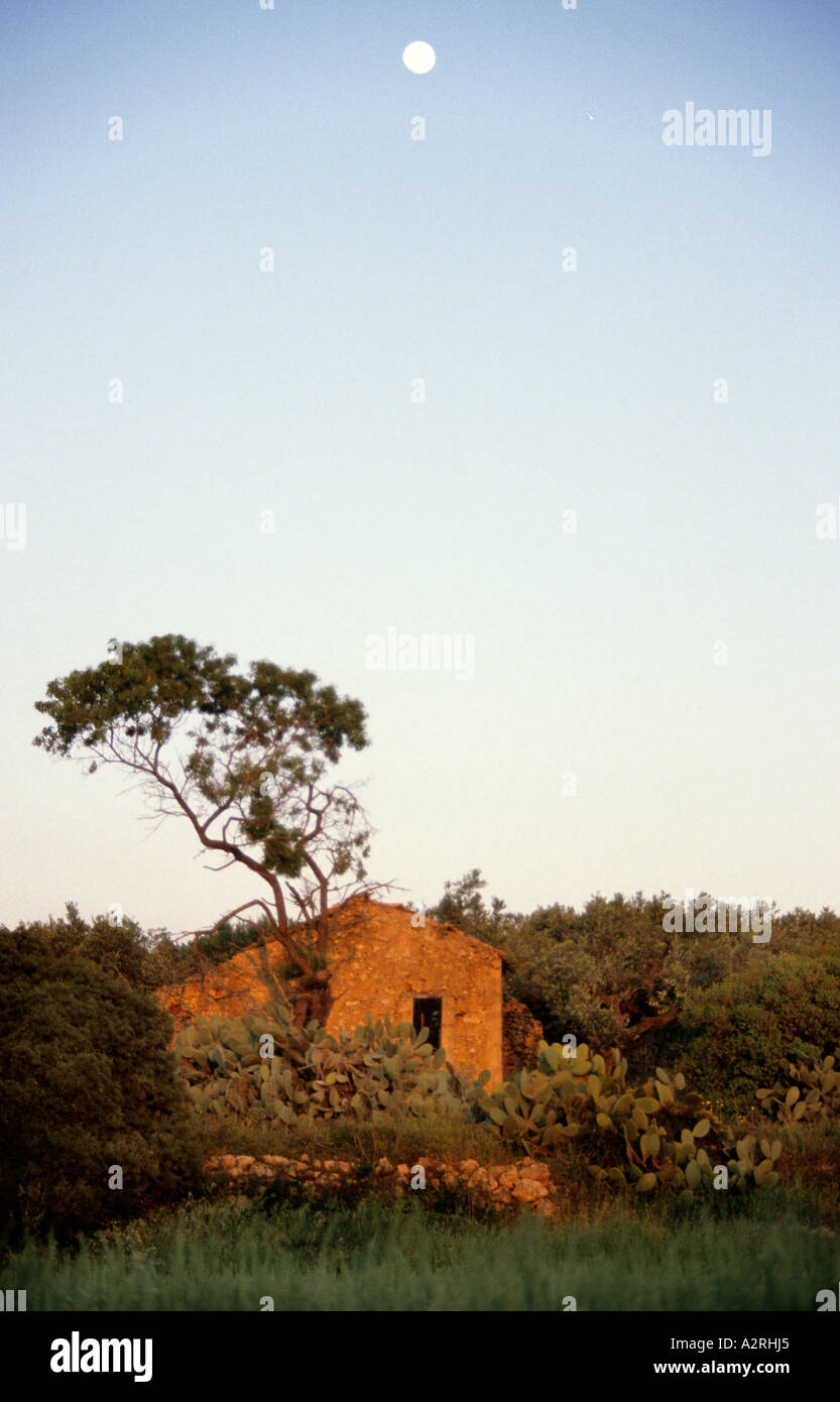 Sonnenuntergang Haus Baum Olivenöl Oliven Griechisch Griechenland Stockfoto