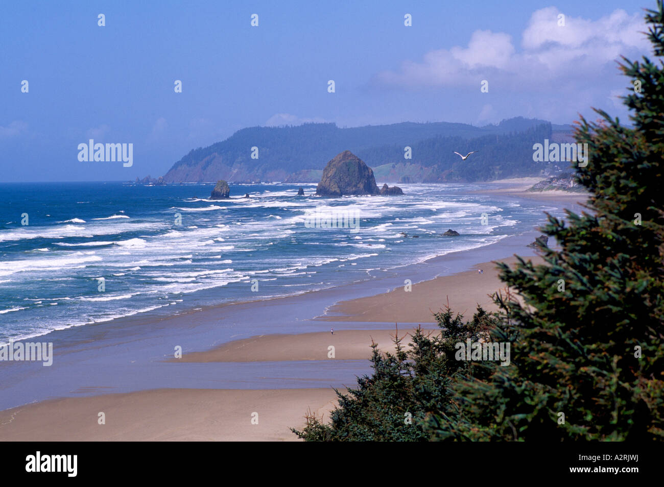 Küste von Cannon Beach, Oregon, USA - Haystack Rock, Pazifik, Pazifischer Nordwesten Stockfoto