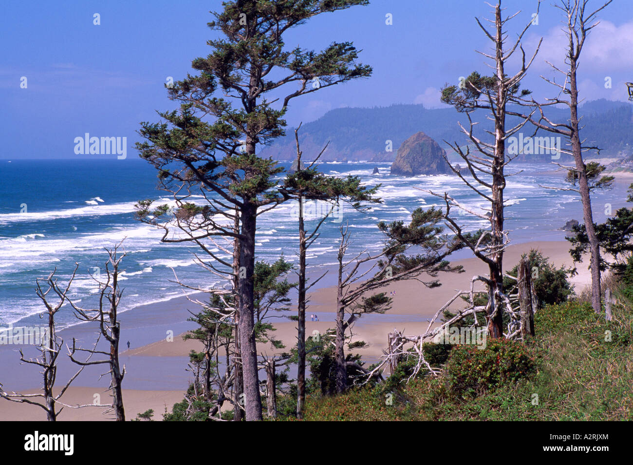 Küste von Cannon Beach, Oregon, USA - Haystack Rock, Pazifik, Pazifischer Nordwesten Stockfoto