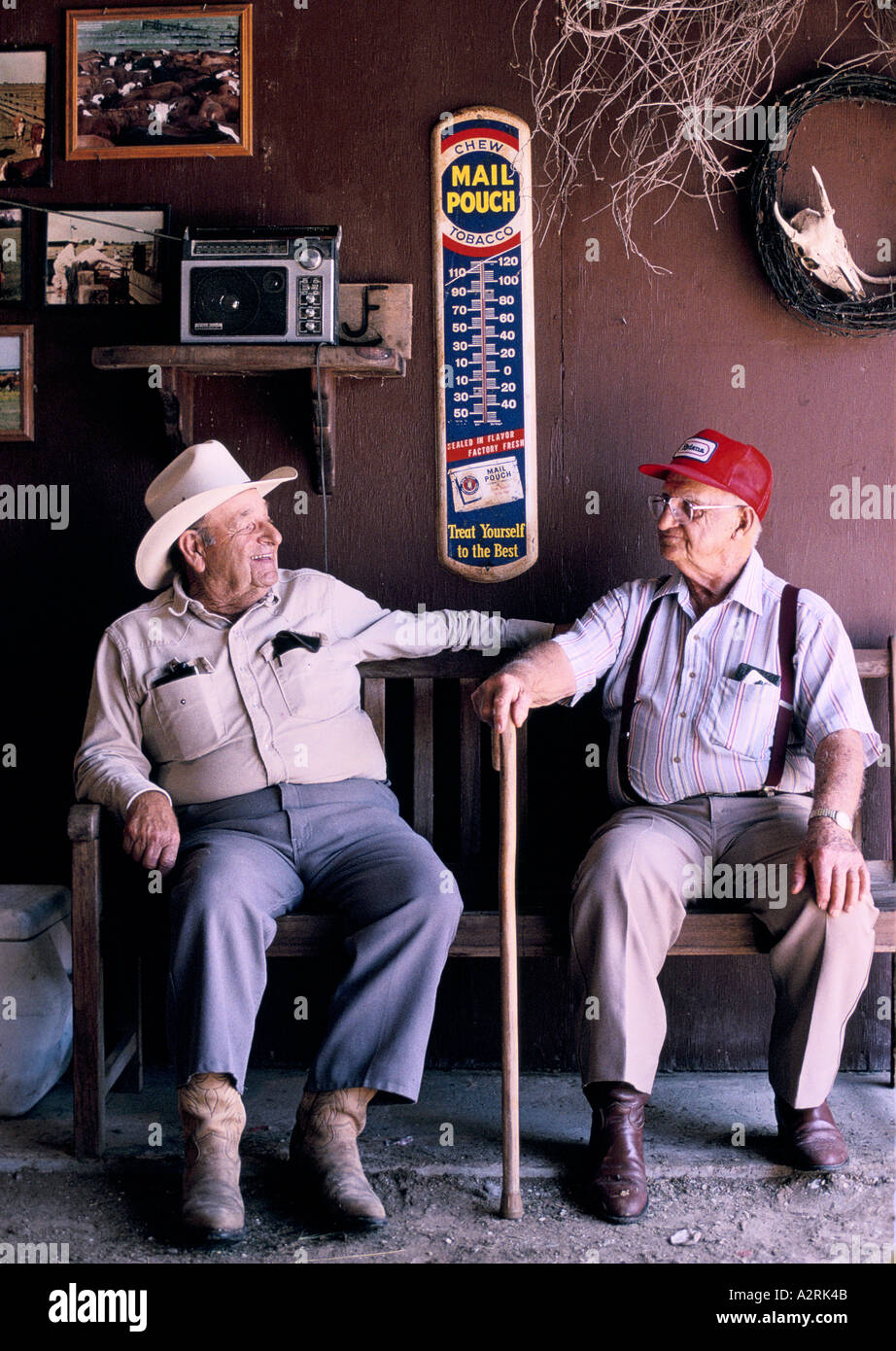 Cajun Kultur Louisiana die Trahan Brüder besuchen die Feier des jährlichen Vieh Kaplan Sumpfland aufrunden Stockfoto