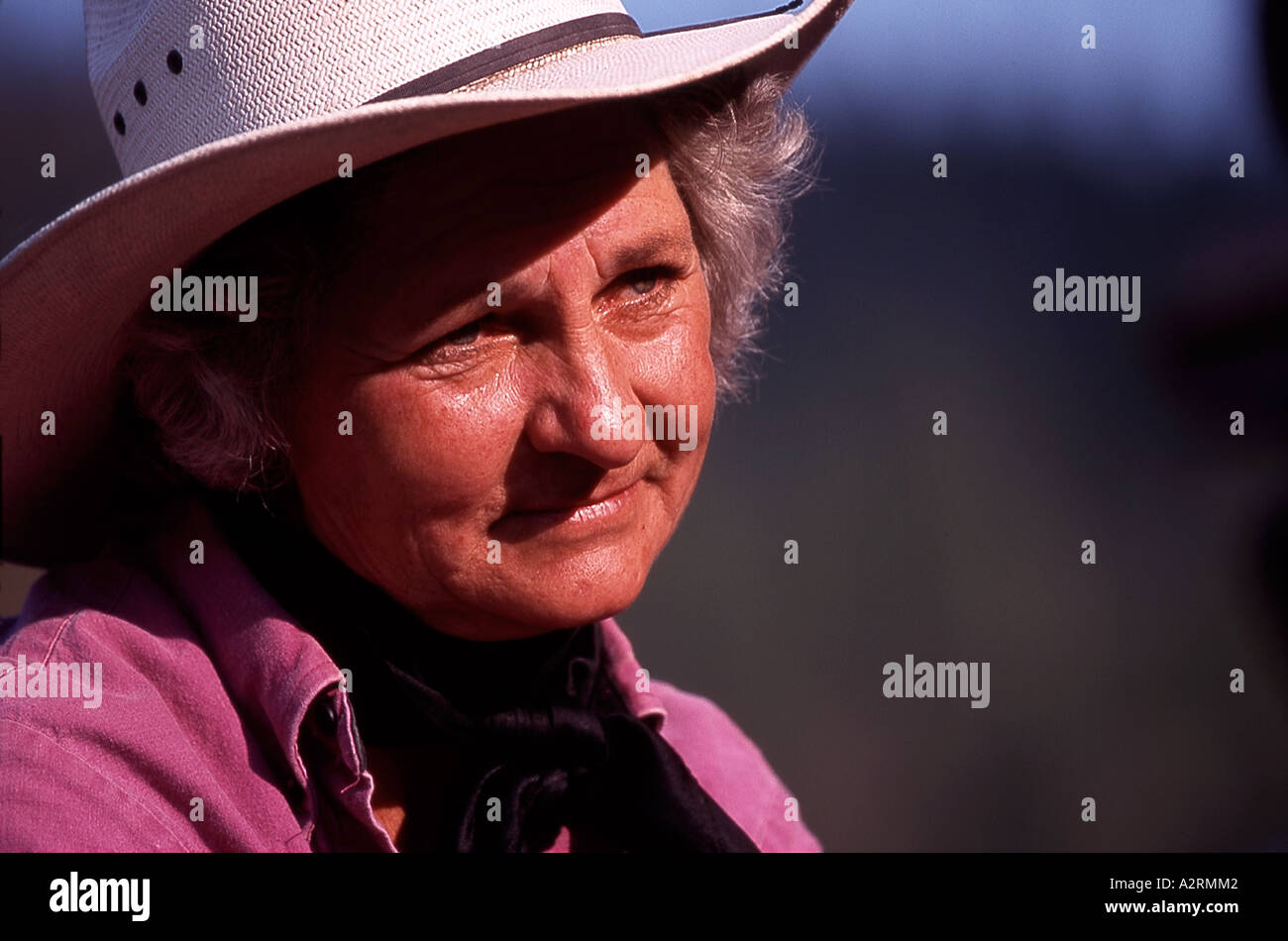 Cowgirl im Montana Sonnenlicht Stockfoto