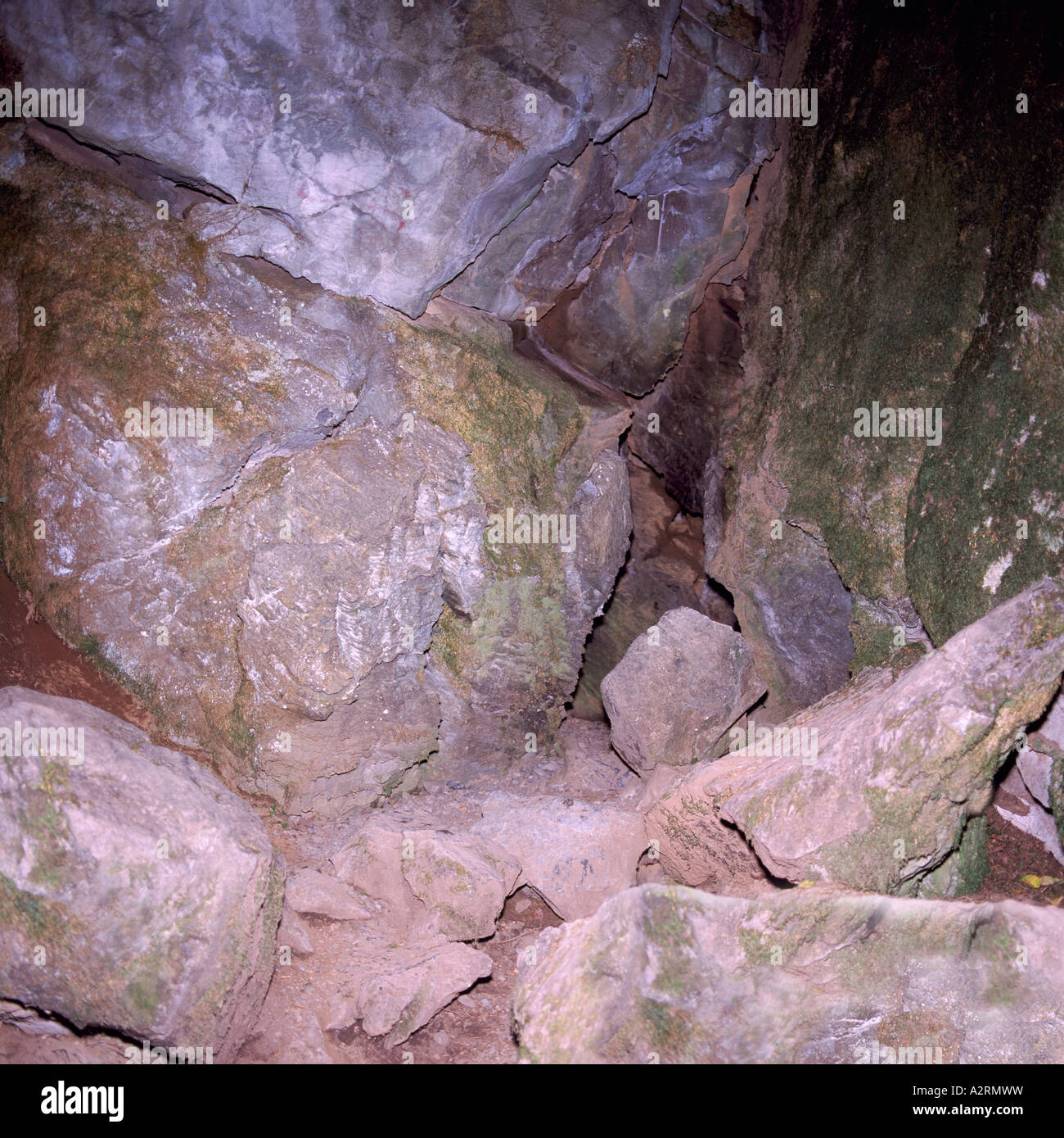 Der schmale Eingang zum unteren Höhle bei Horne Lake Höhlen Provincial Park auf Vancouver Island in British Columbia Kanada Stockfoto