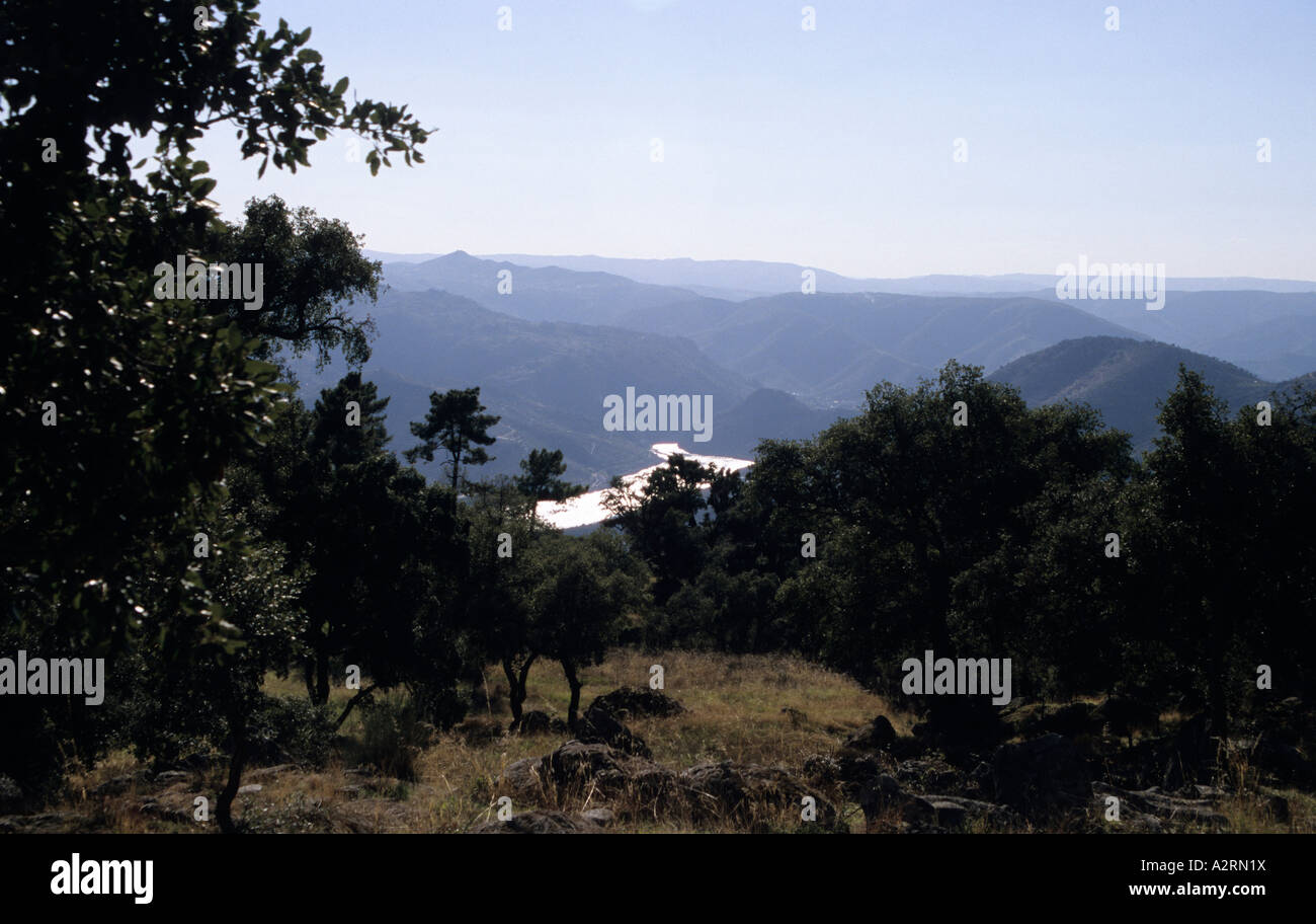 Eine Ansicht des oberen Douro River aus dem Dorf Pinhal Douro Portugal Stockfoto