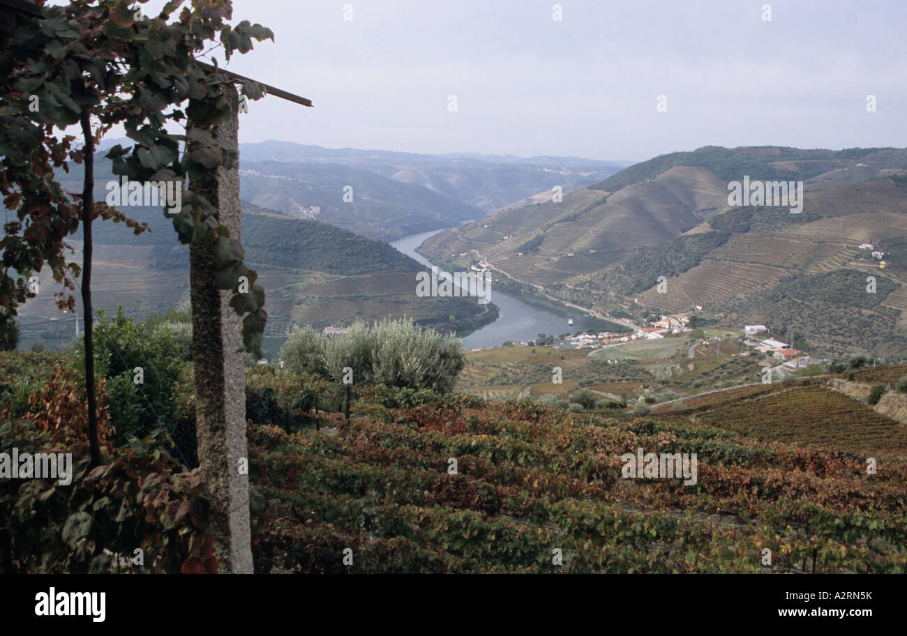 Blick auf die Weinberge oberhalb von Pinhao auf dem Douro-Tal Portugal Stockfoto