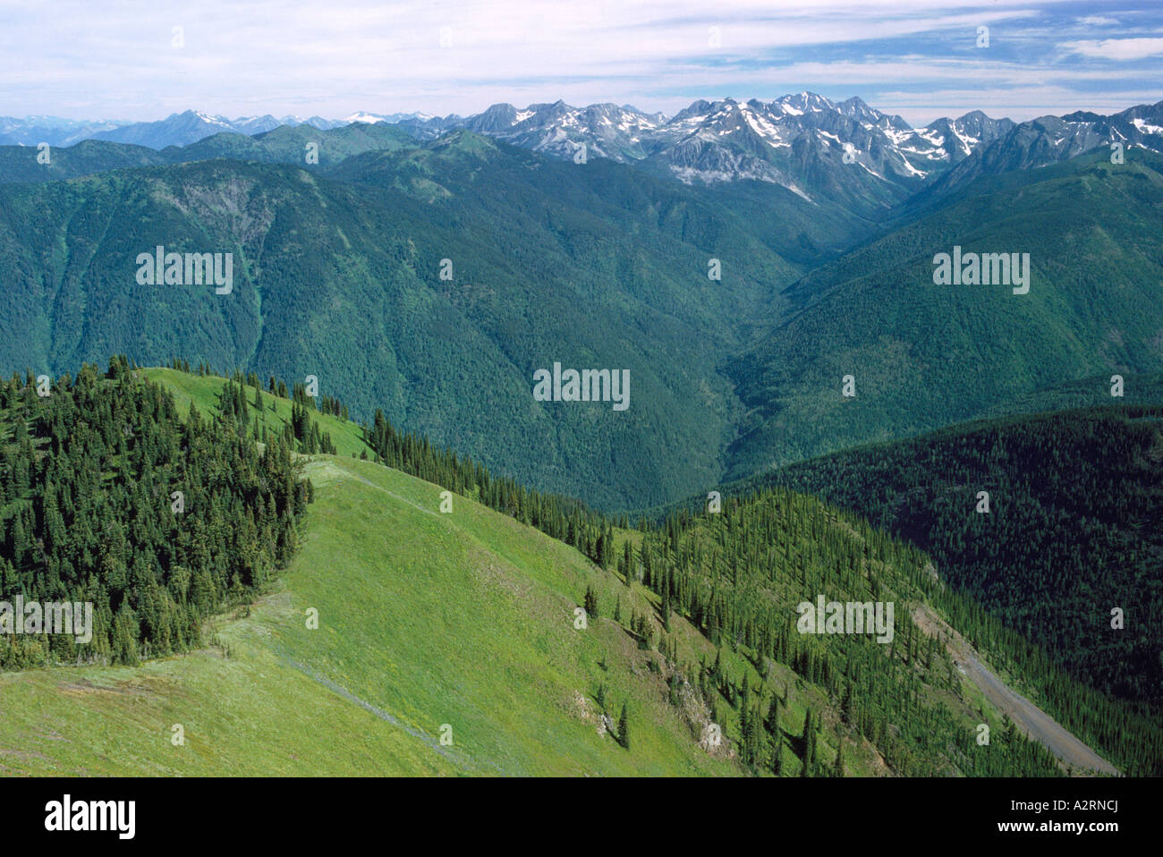 Blick auf den Selkirk Mountains und Nadelwälder aus Idaho Peak in der Kootenay Region British Columbia Kanada Stockfoto