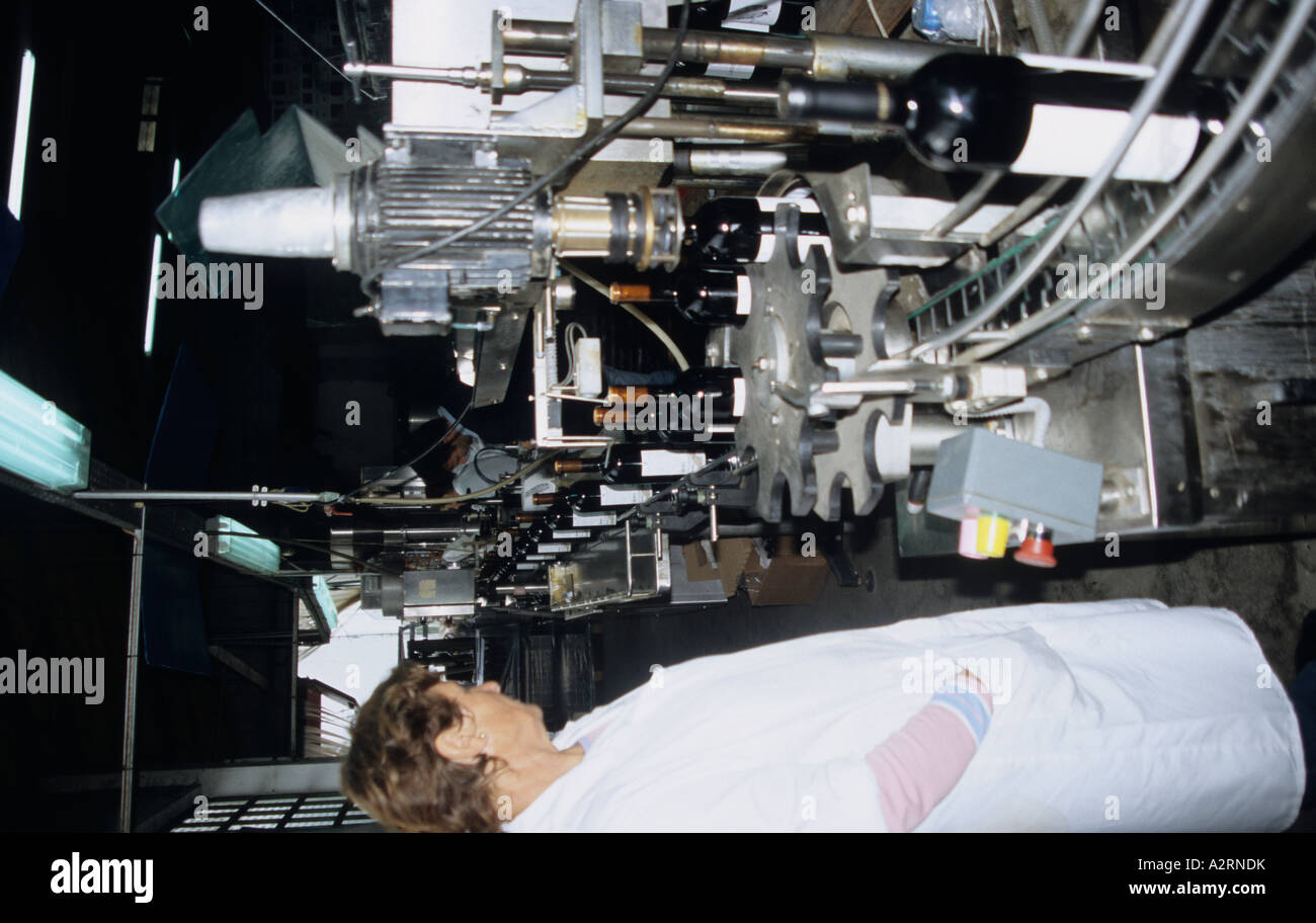 Abfüllung des Jahrgangs im Weingut Quinta De La Rosa auf dem Douro-Tal Portugal Stockfoto