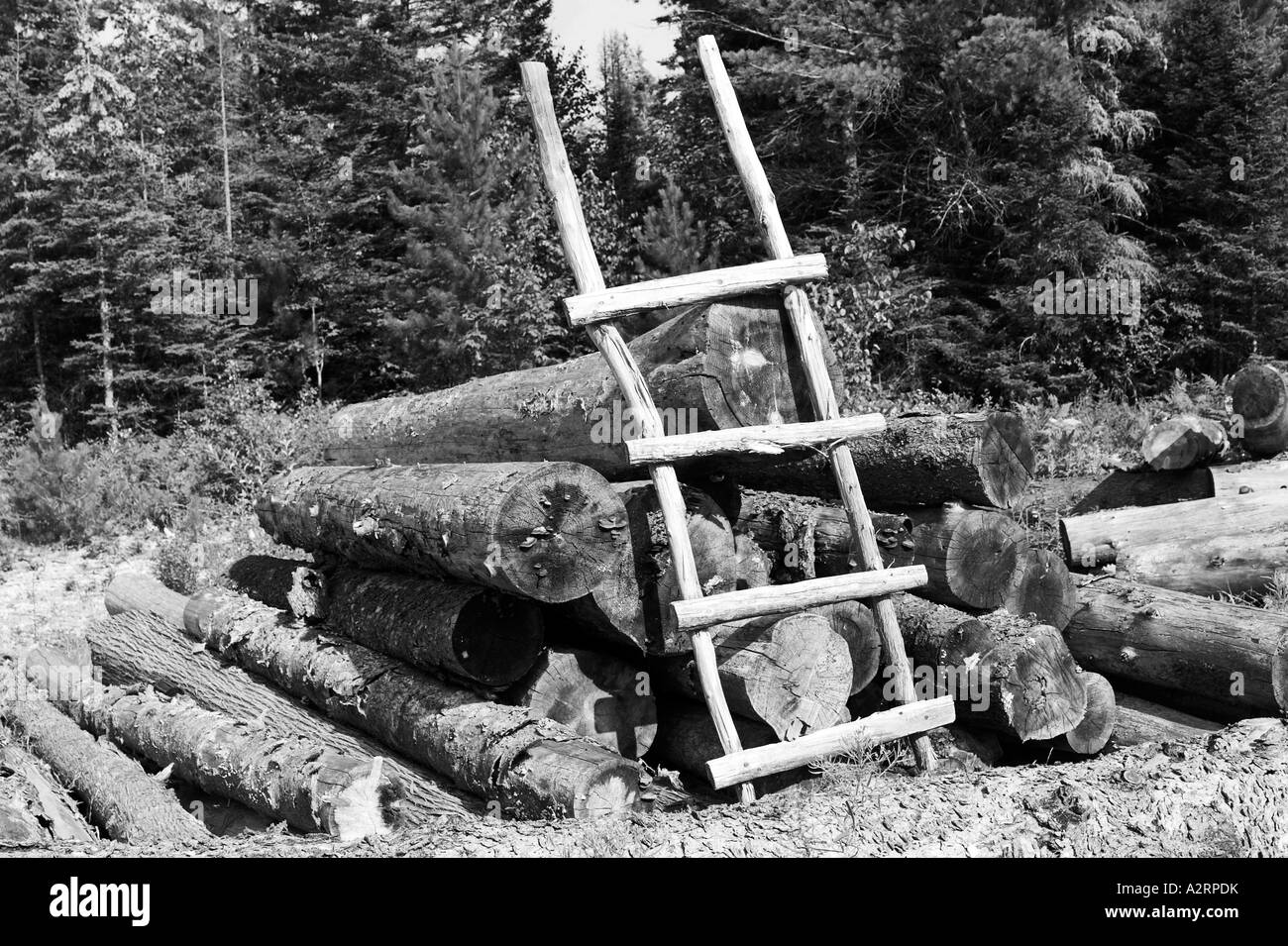 Rustikale Treppe und Protokolle Stockfoto