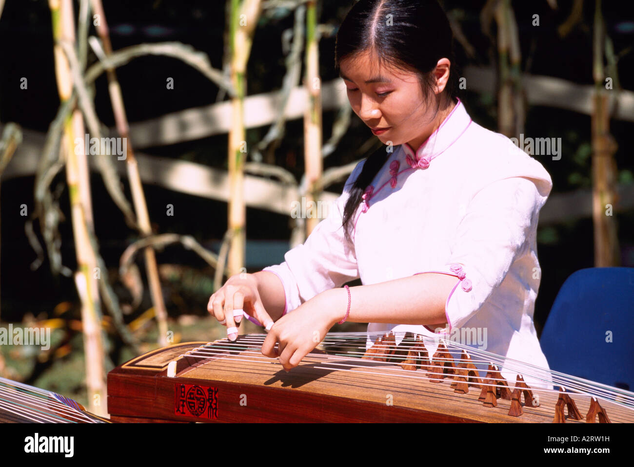 Orientalische Frau spielt chinesische Zither / Harfe (aka Guzheng), Vancouver, BC, Britisch-Kolumbien, Kanada Stockfoto